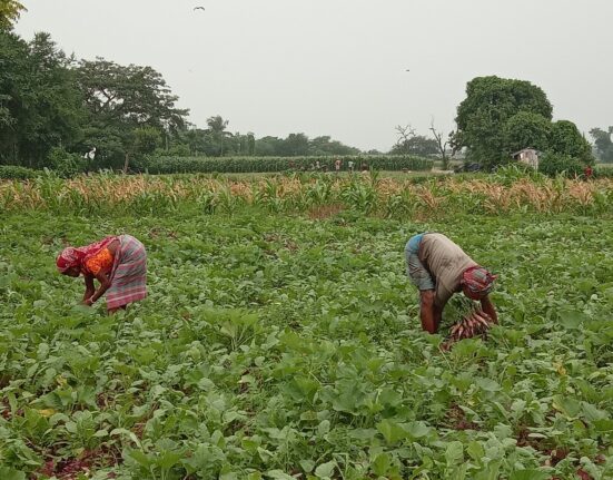 Demand of growth is the undoing of Indian agriculture
