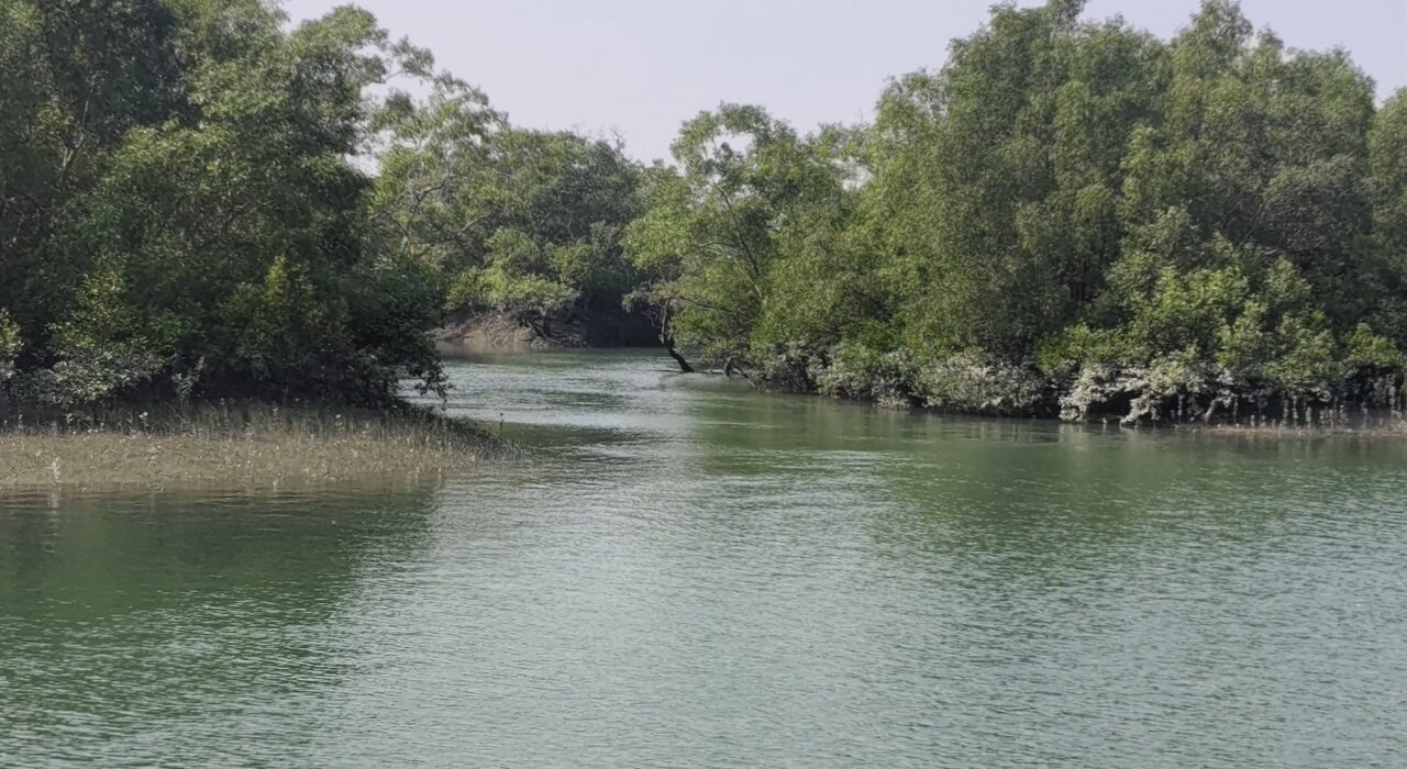 Sundarban development debate