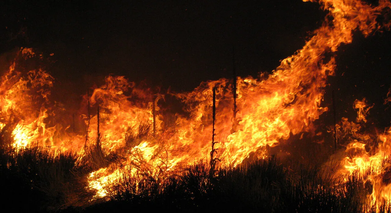 India UN wildfire resolution