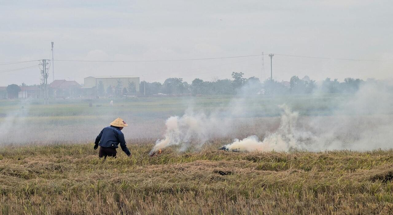Stubble burning undercounting