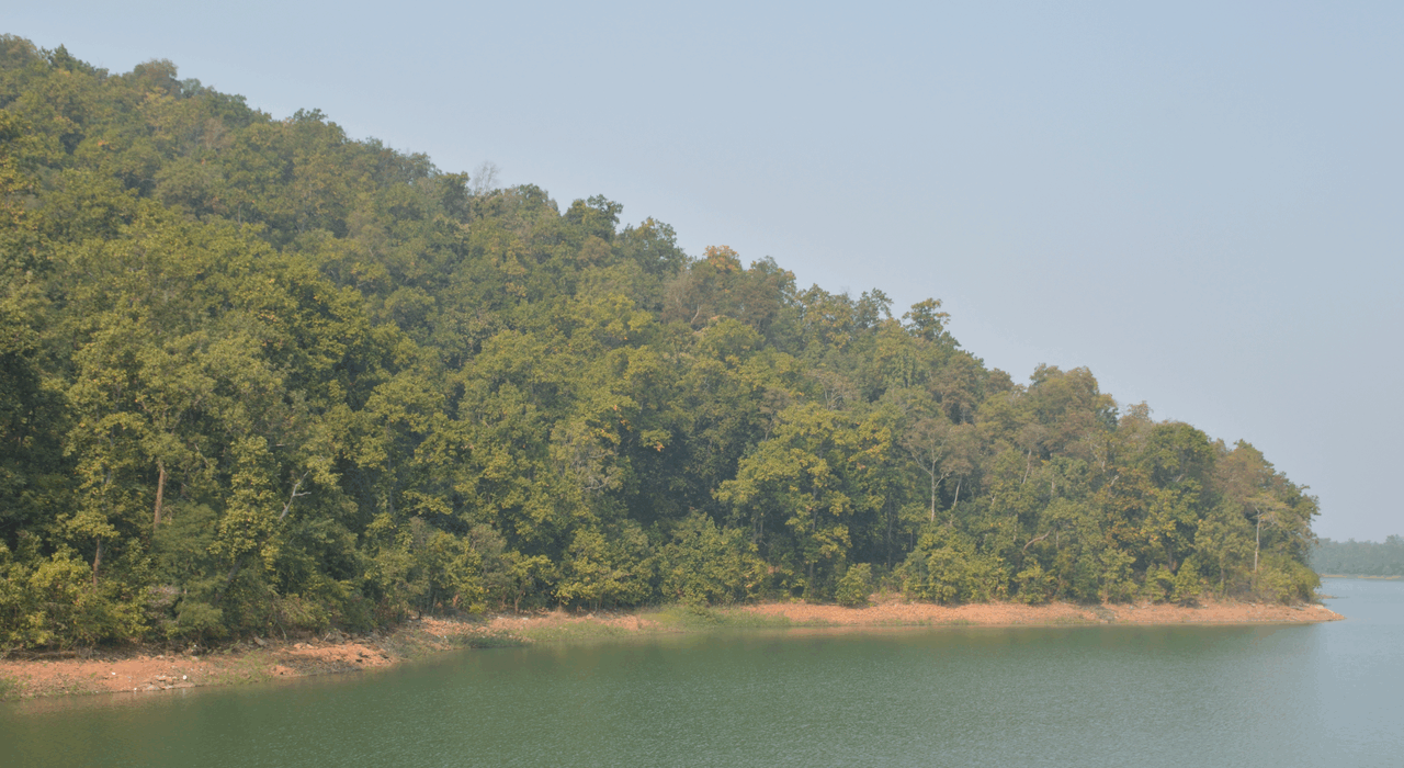 National Board for Wildlife (NBWL)