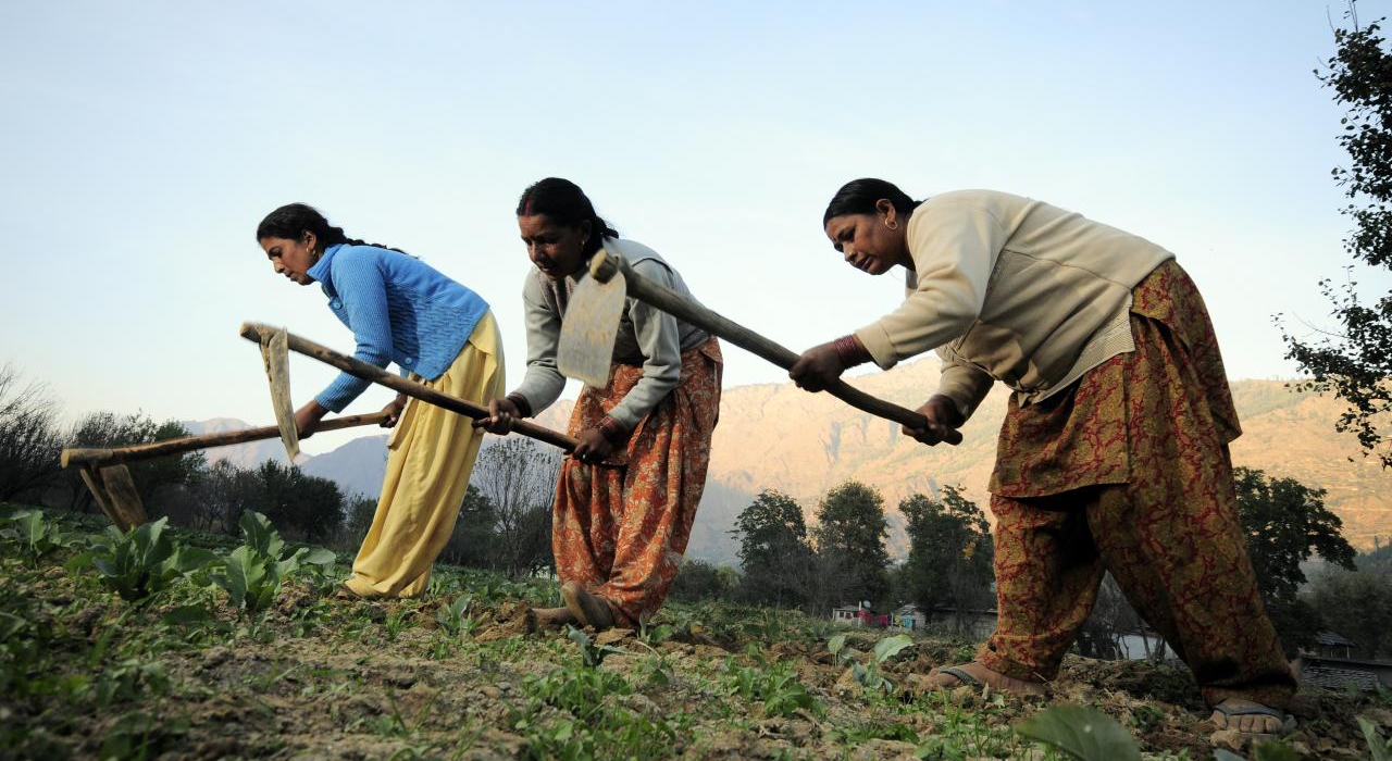 India-US Free Trade Agreement agriculture
