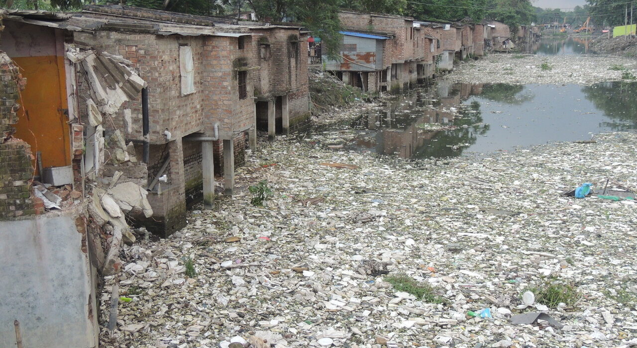 Bengal environmental activist