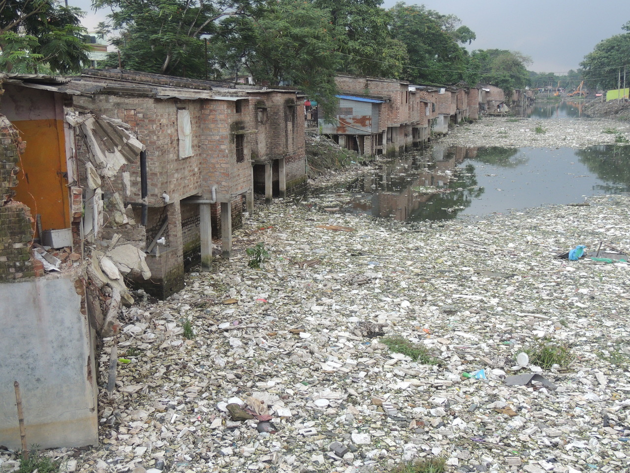 Bengal environmental activist