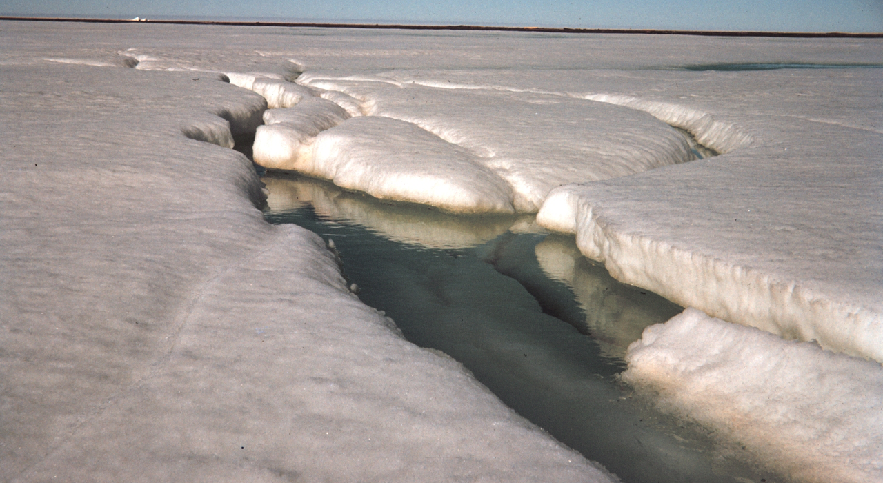 WMO climate report