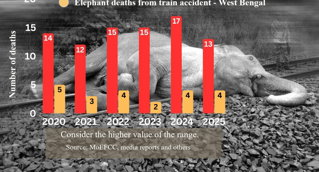 elephant mortality on railway tracks