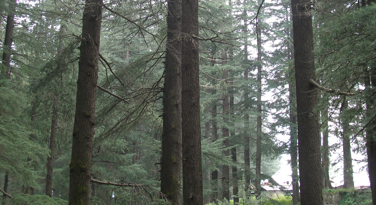 Climate change animal habitats