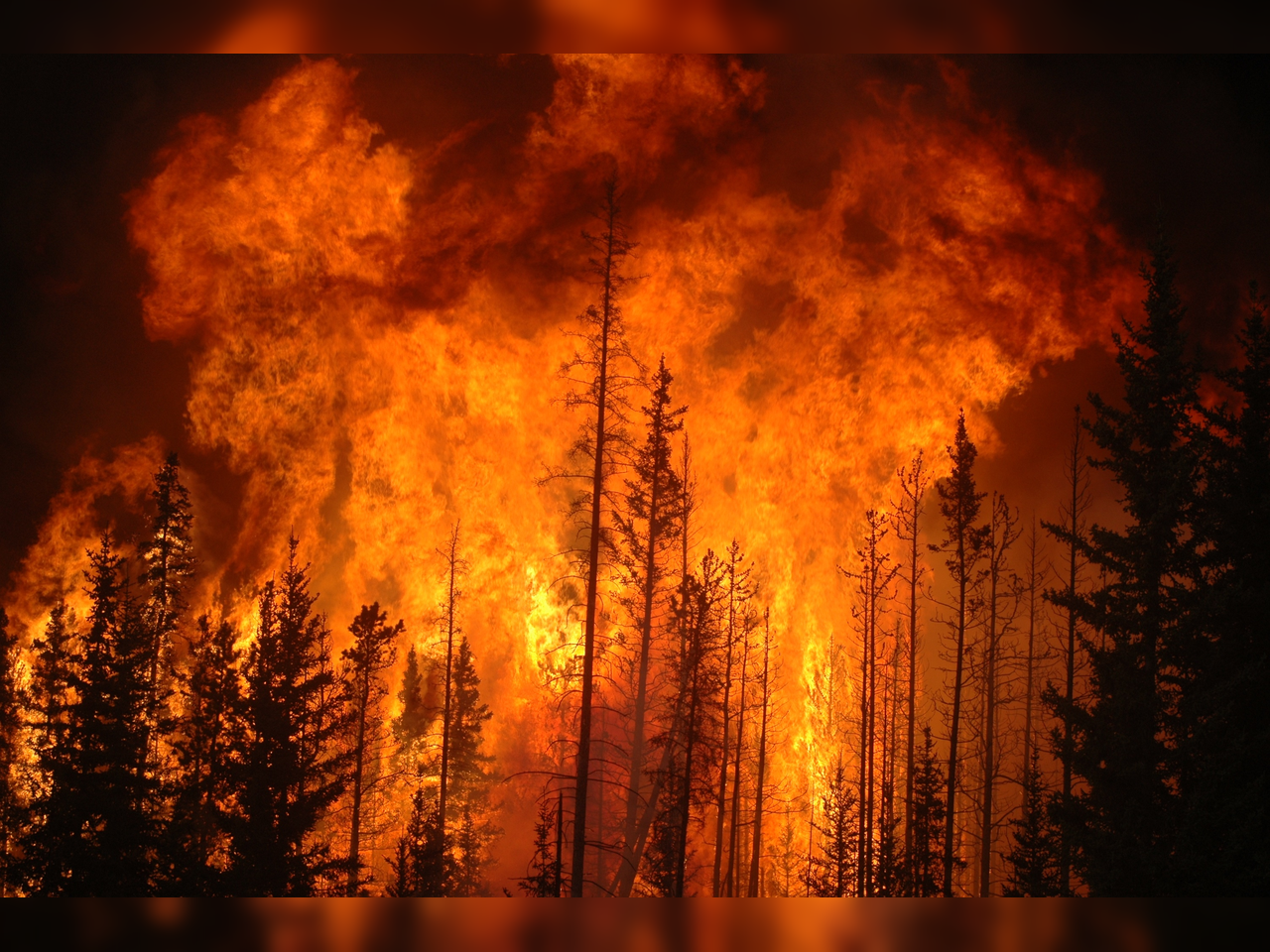 Spain France wildfires 2026