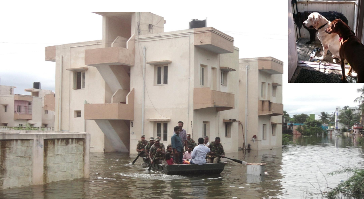 2015 Chennai floods