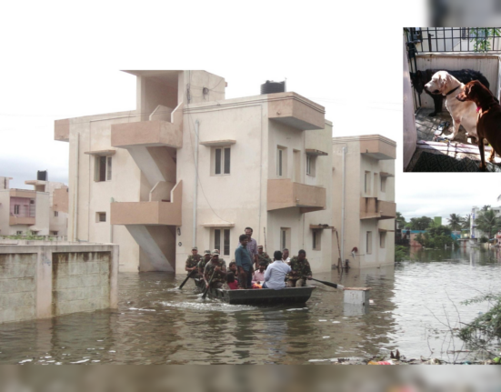 2015 Chennai floods