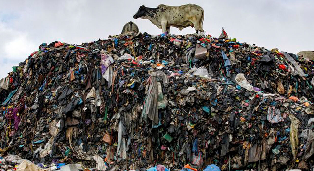 global fashion graveyard