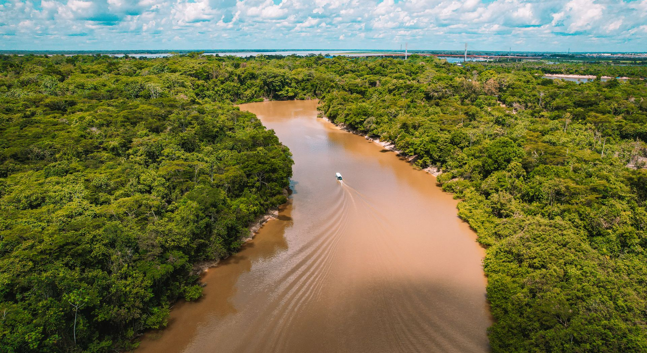 Amazon deforestation 2026