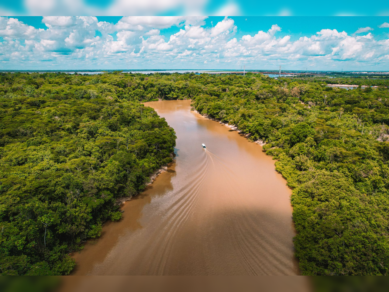 Amazon deforestation 2026