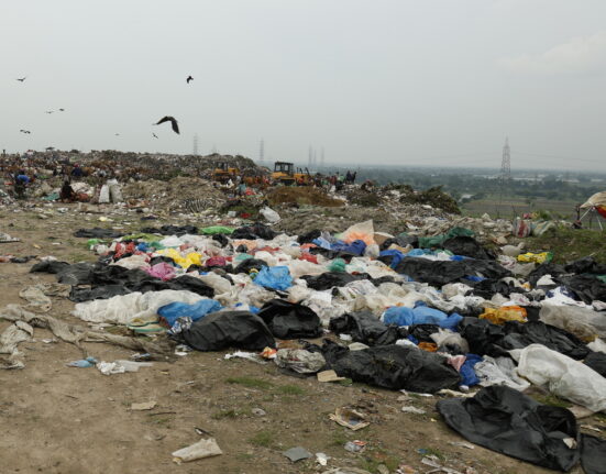 Durga Puja plastic pollution Kolkata