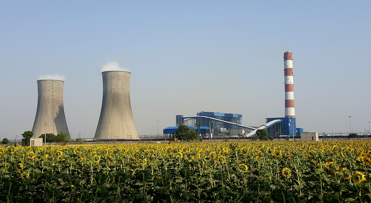 IEA coal report