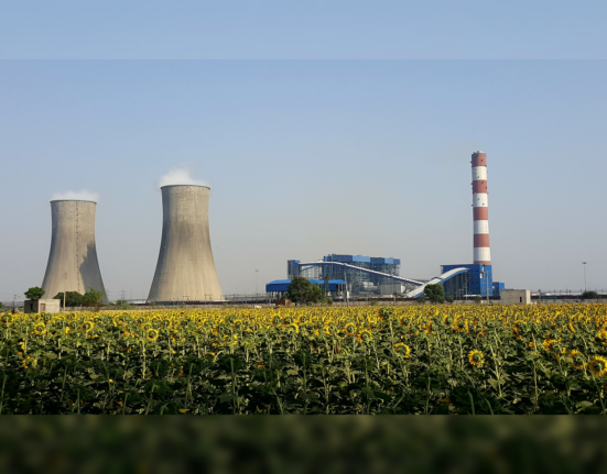 IEA coal report