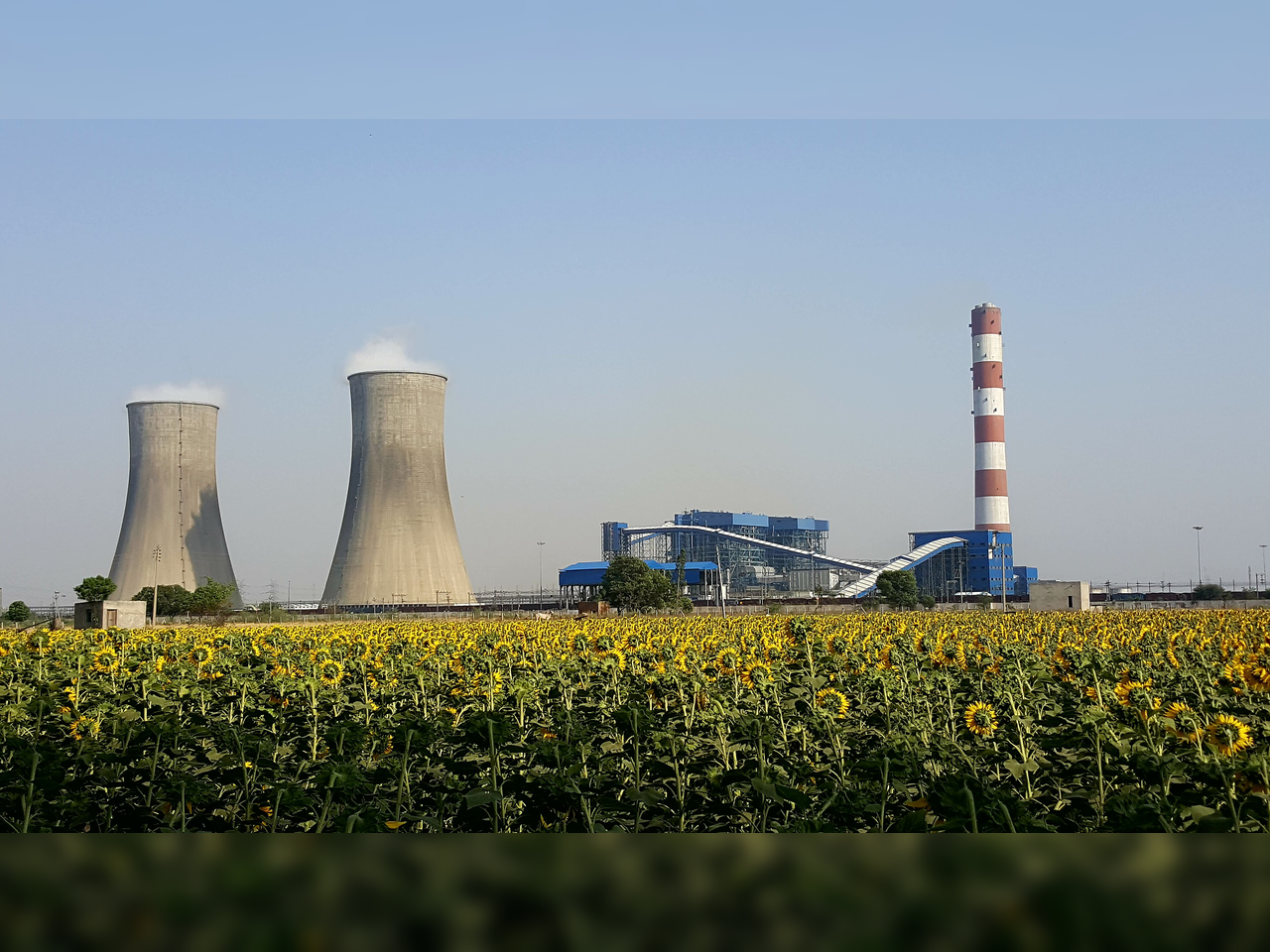 IEA coal report