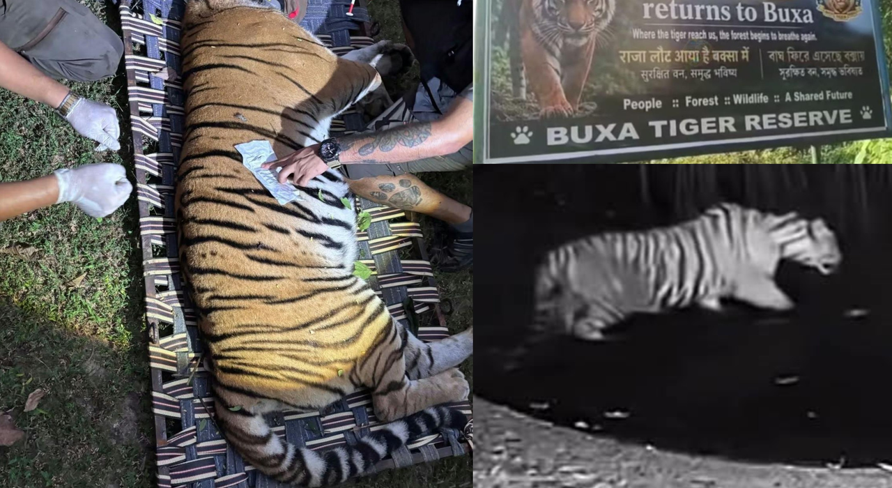 Buxa Tiger Reserve