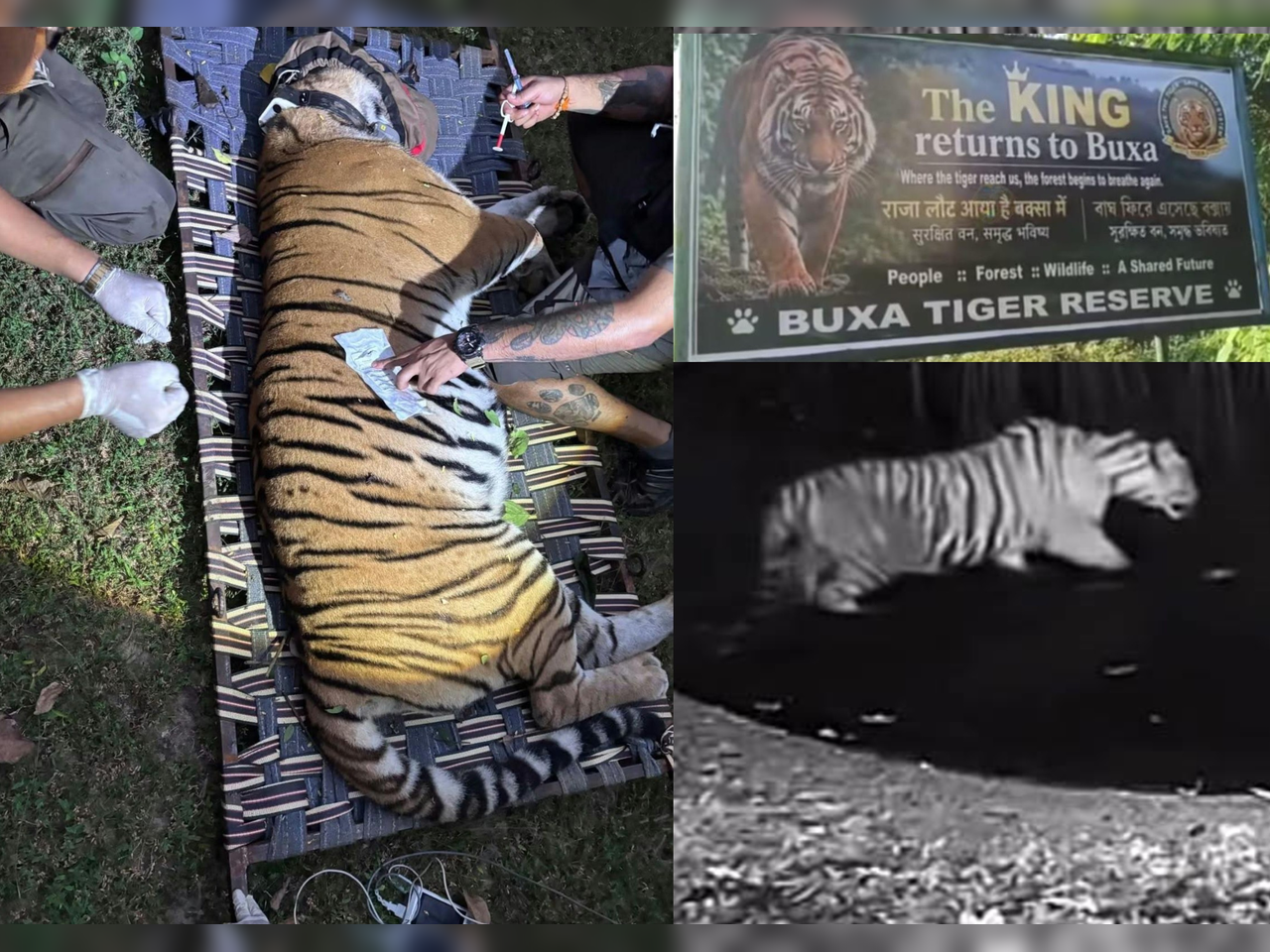 Buxa Tiger Reserve